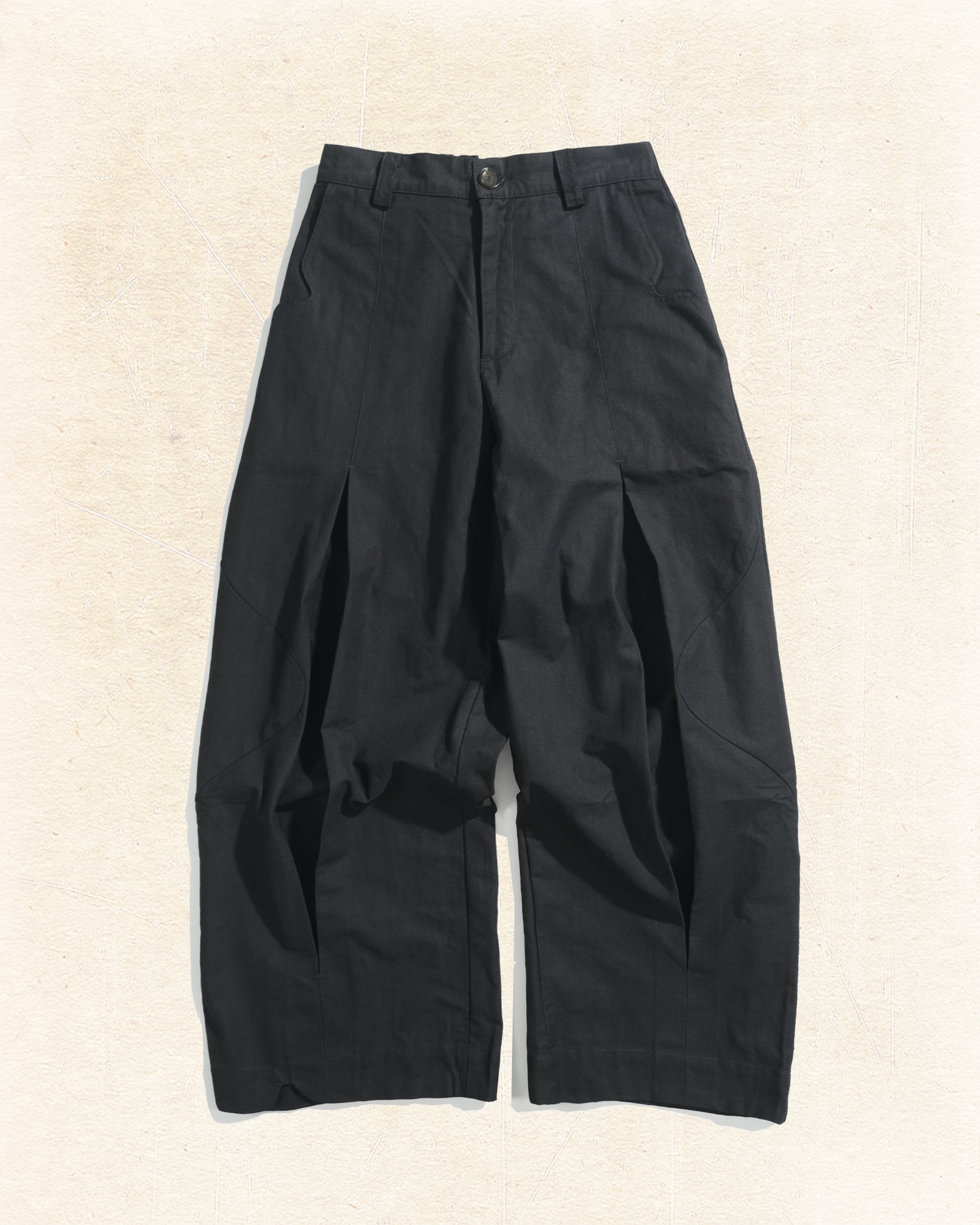Panelled Pleat Pants ᛝ Black