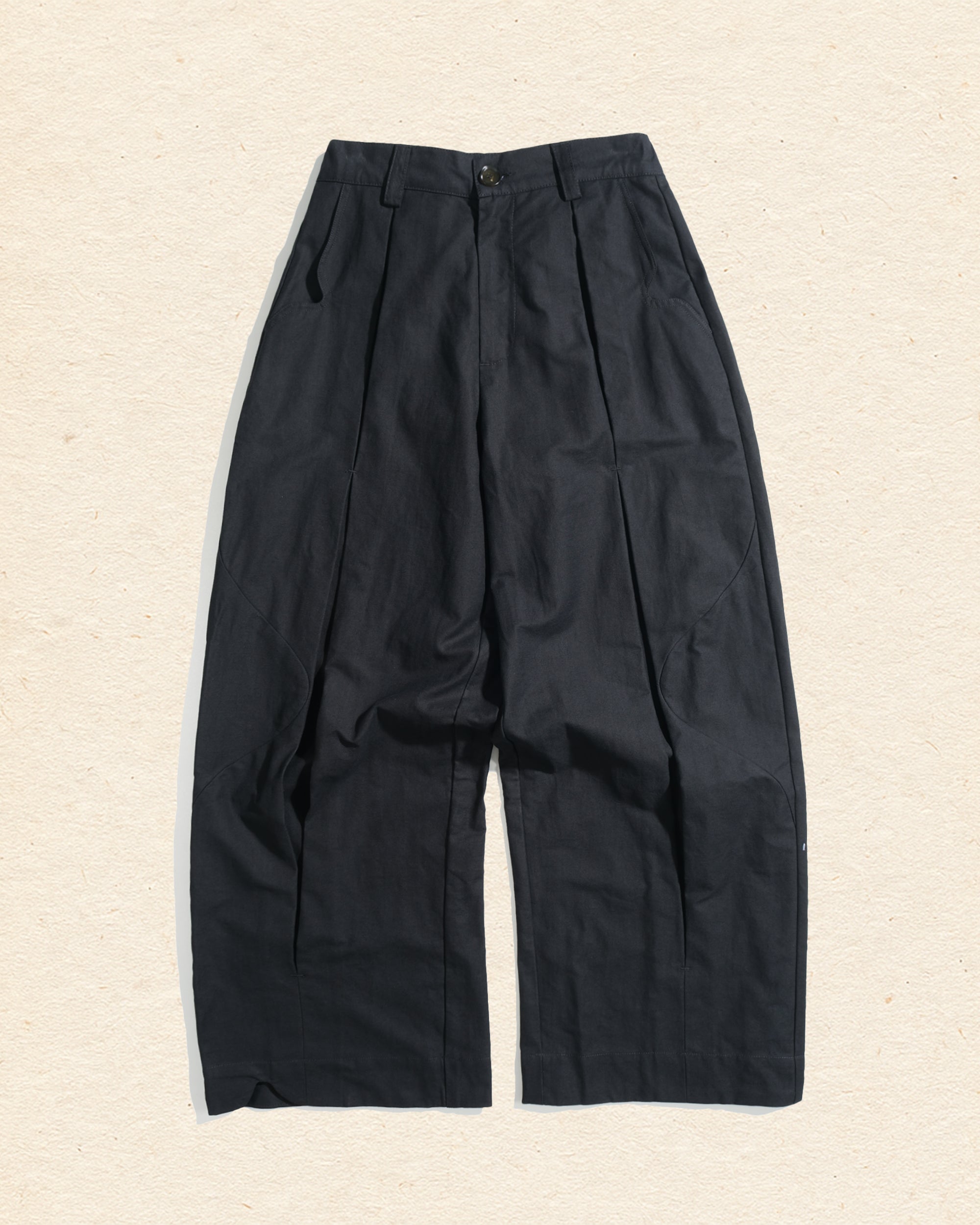 Panelled Pleat Pants ᛝ Black